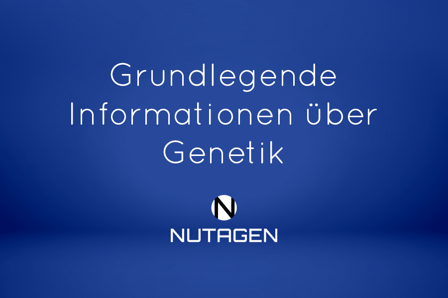 Grundlegende Informationen über Genetik