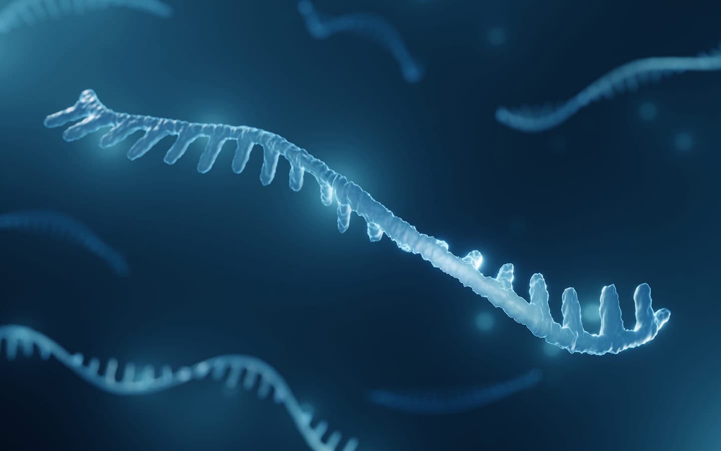What exactly are microRNAs (miRNAs)?